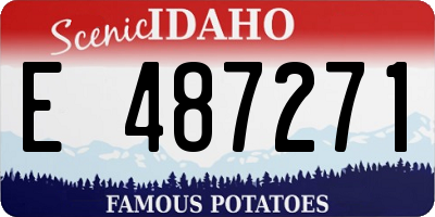 ID license plate E487271