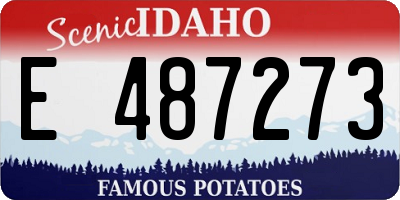 ID license plate E487273
