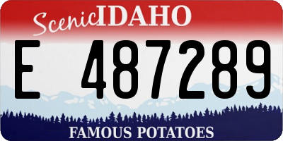ID license plate E487289