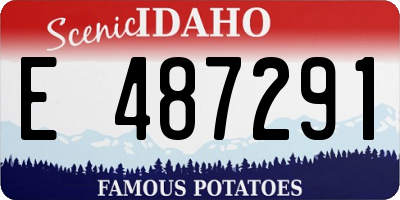 ID license plate E487291