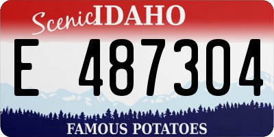ID license plate E487304