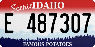 ID license plate E487307