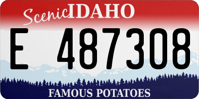 ID license plate E487308