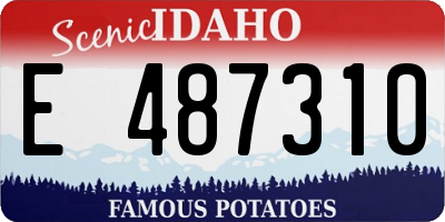 ID license plate E487310