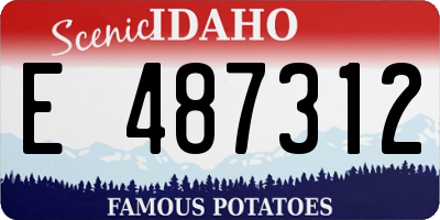 ID license plate E487312