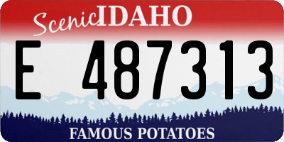 ID license plate E487313