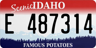 ID license plate E487314