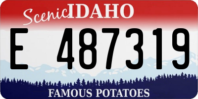 ID license plate E487319