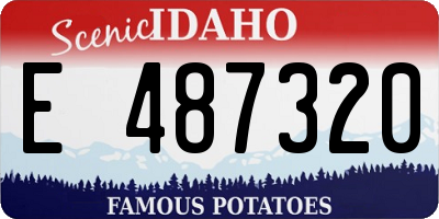 ID license plate E487320