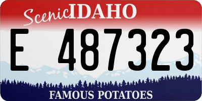 ID license plate E487323