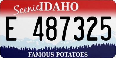 ID license plate E487325