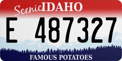 ID license plate E487327