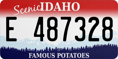 ID license plate E487328