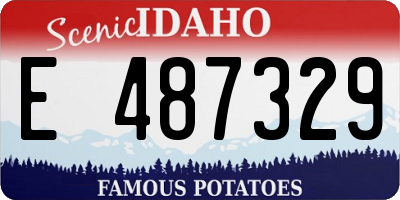 ID license plate E487329