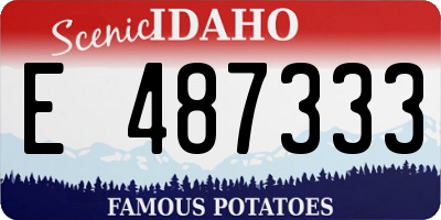 ID license plate E487333