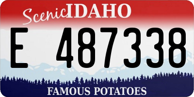 ID license plate E487338
