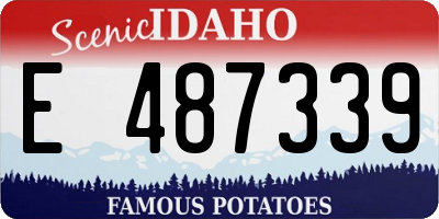 ID license plate E487339