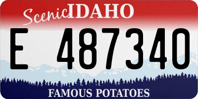 ID license plate E487340
