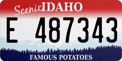ID license plate E487343