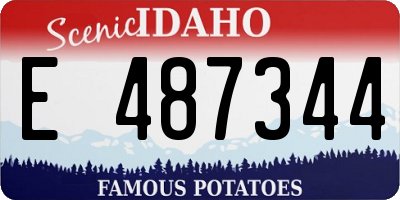 ID license plate E487344