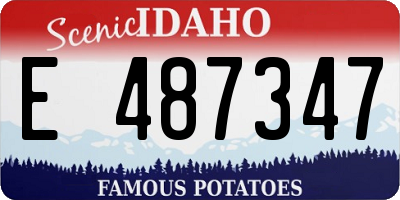 ID license plate E487347