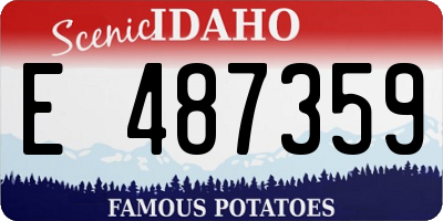 ID license plate E487359