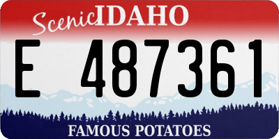 ID license plate E487361