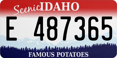 ID license plate E487365