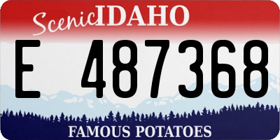 ID license plate E487368