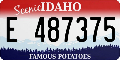 ID license plate E487375