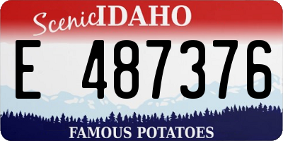 ID license plate E487376