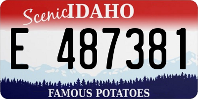 ID license plate E487381