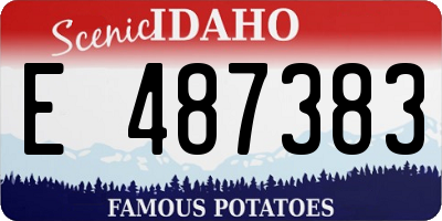 ID license plate E487383