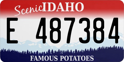 ID license plate E487384