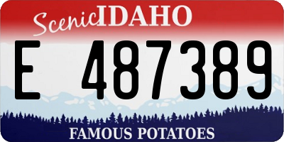 ID license plate E487389
