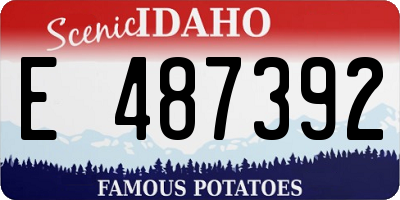 ID license plate E487392