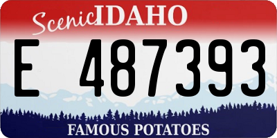 ID license plate E487393