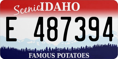 ID license plate E487394