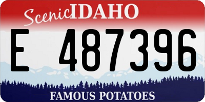 ID license plate E487396