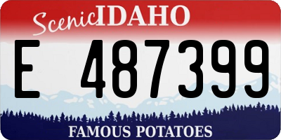 ID license plate E487399