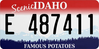 ID license plate E487411