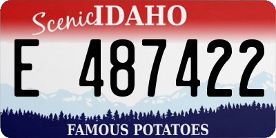ID license plate E487422