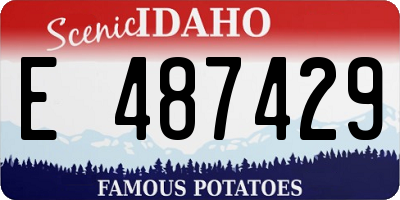 ID license plate E487429