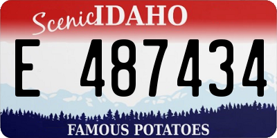 ID license plate E487434