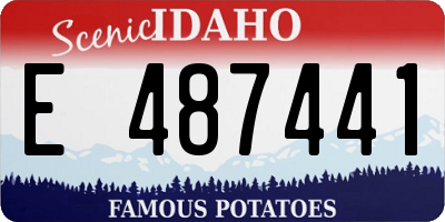 ID license plate E487441