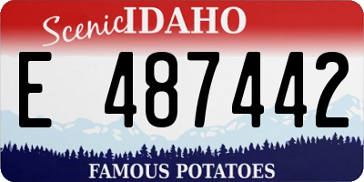 ID license plate E487442