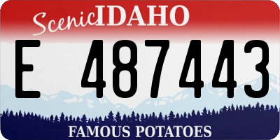 ID license plate E487443