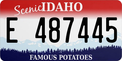 ID license plate E487445