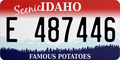 ID license plate E487446