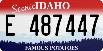 ID license plate E487447
